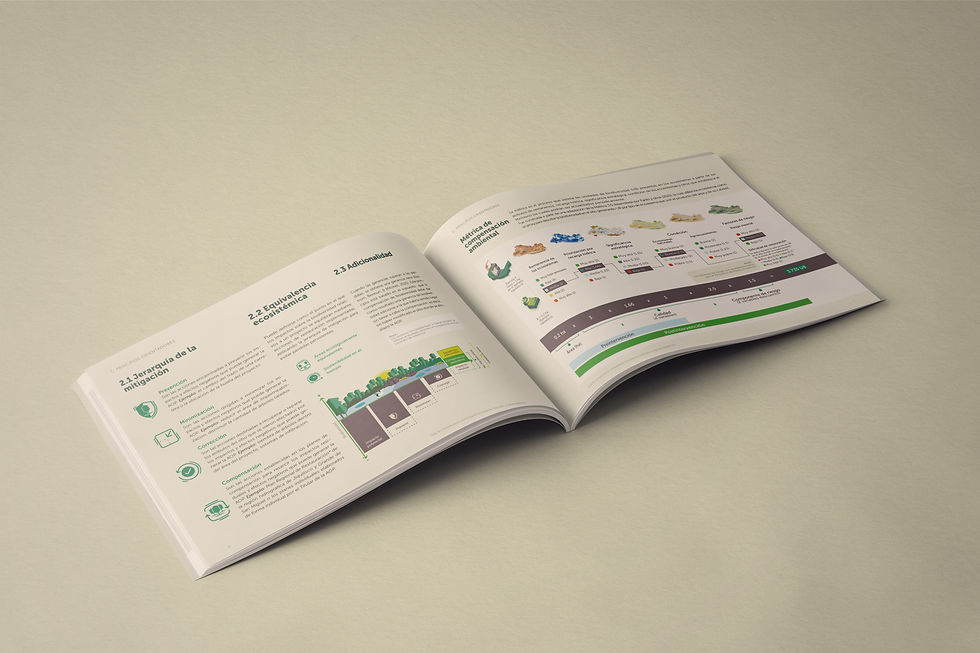 Free Open Horizontal Magazine Mockup.jpg