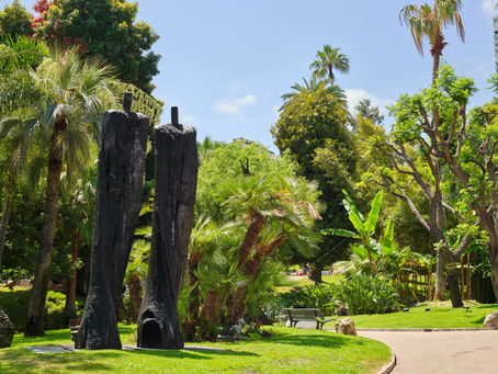 Monaco Art Week 2022: all facets of Art & Design approach Natural Forms.