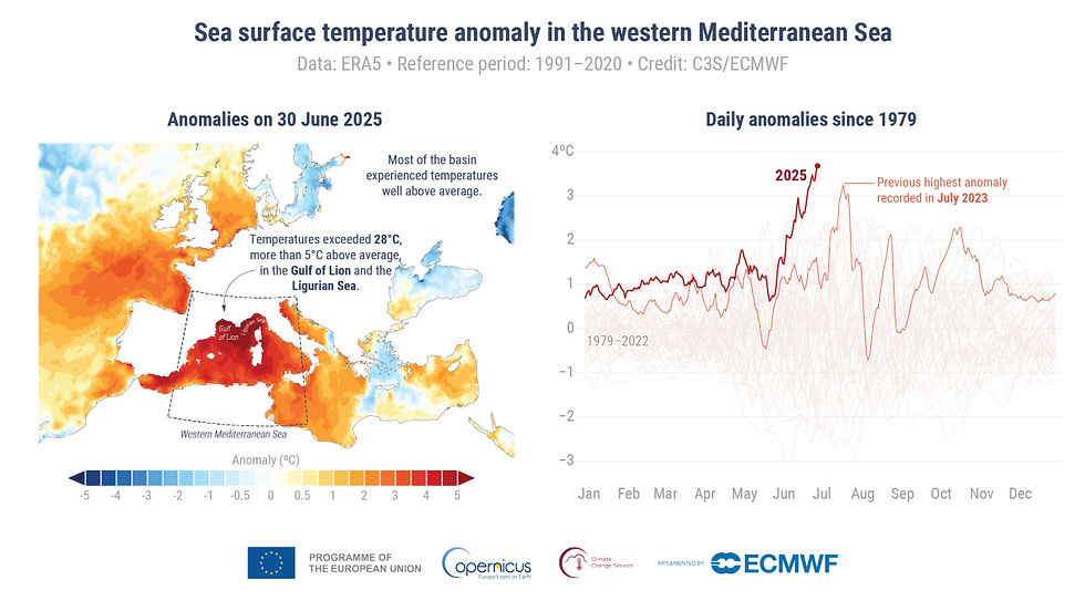 Photo >> (Left) Daily sea surface temperature (SST) anomaly (°C) on 30 June 2025, the peak of a marine heatwave in the western Mediterranean Sea, relative to the average for the 1991–2020 reference period. The dashed box shows the domain used to compute the time series on the right. (Right) Daily SST anomalies (°C) averaged over the western Mediterranean region (1°W–15°E, 33–46°N) from 1979 to 30 June 2025. The year 2025 is shown in dark red, 2023 is shown in light red. All other years are shown in grey. Data source: ERA5. Credit: © C3S/ECMWF