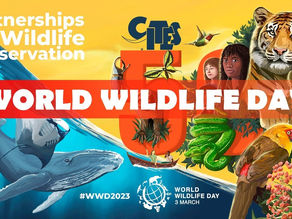 Monaco reaffirms its engagement in the protection of endangered species within World Wildlife Day.