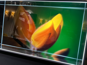 Can Metaverse turn into Naturverse ? 