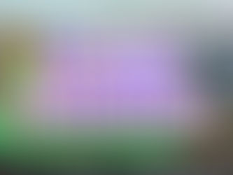 World Environment Day commits to #BeatPlasticPollution and Monaco is perfectly in line with.