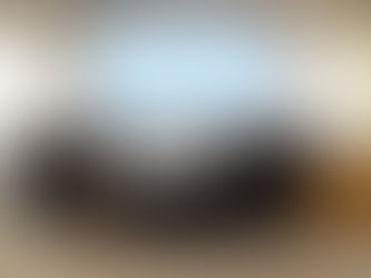 The Friends of the Oceanographic Museum of Monaco achieved an exceptional philanthropic goal for the Ocean Protection.