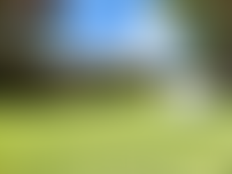 Roof Replacement In Carrollton/Farmers Branch