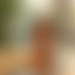 Essential Supplements for Health and Longevity in Everyday Life