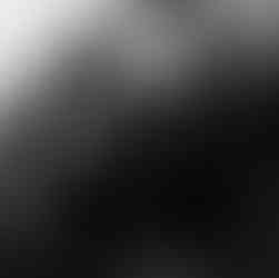 Halloween Salsa Party 2025 with R&M Latin Dance Sydney Australia