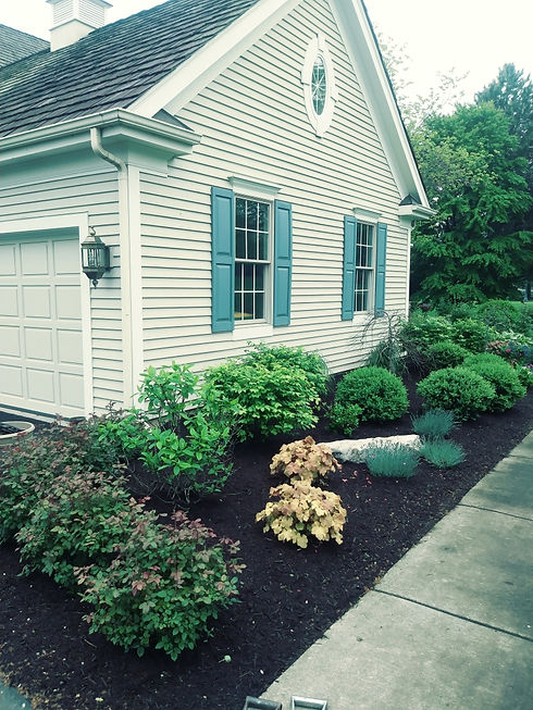 Noe-Martinez-Landscaping-Illinois (4).jpg