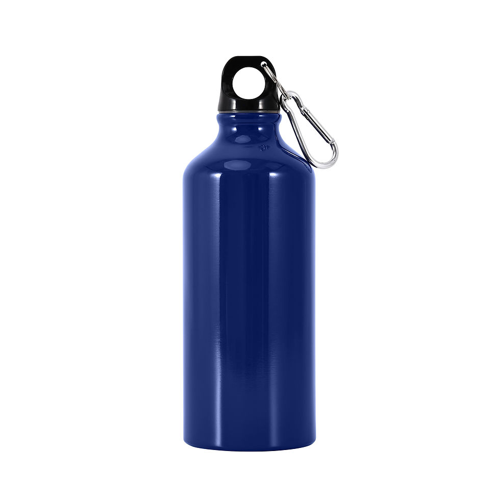 Пляшка металева Gloss, ТМ Discover синя