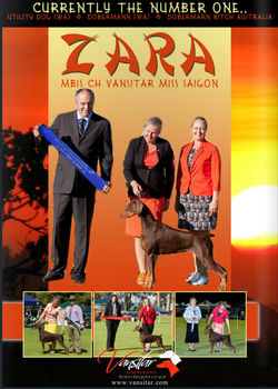 Zara's ad from the May K9 online