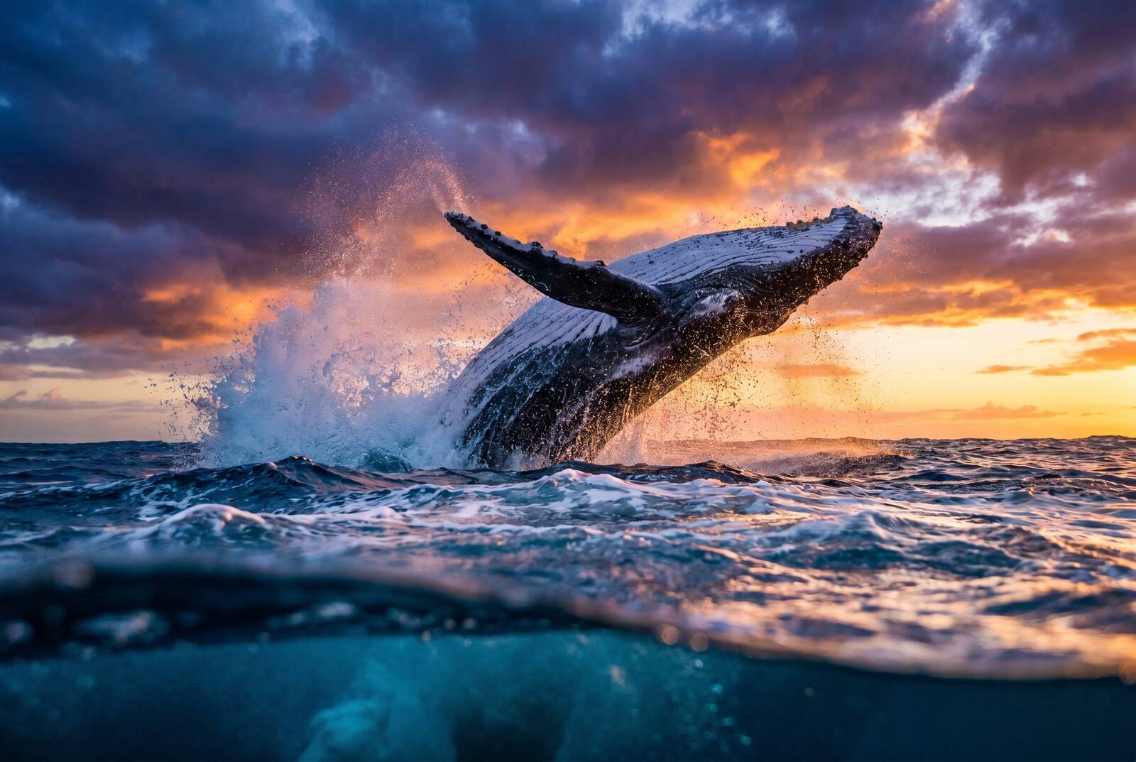 Ocean Titan