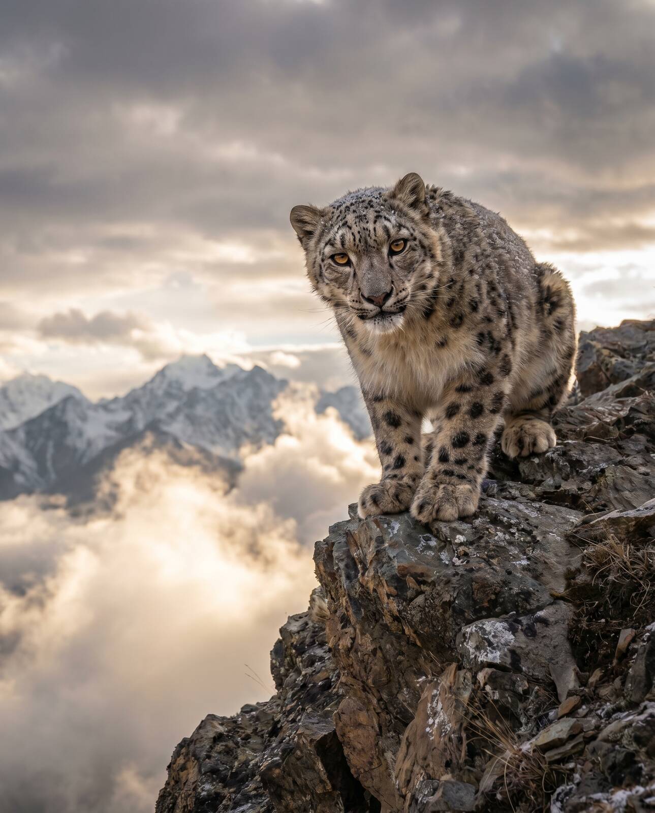 Chasing Light: A Week with the Mountain Phantoms of Patagonia