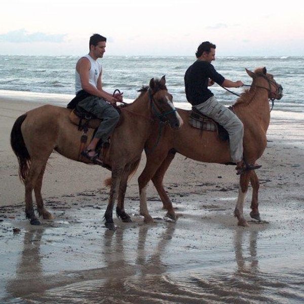 דרום אמריקה · 2004 — תמונה 82