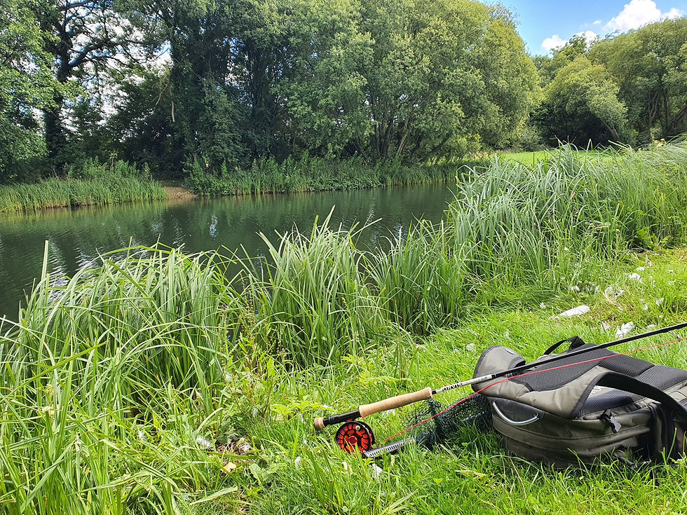Welcome to Fishing Field Fork: Fly Fishing, Camping & Real Food