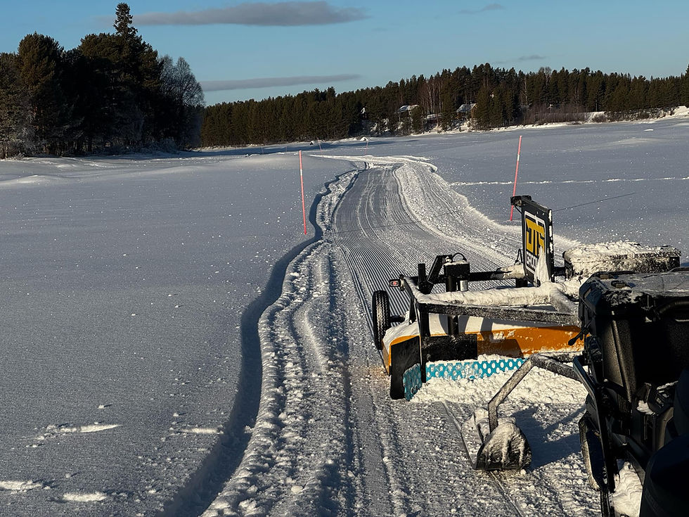 Miniatyrbild: Skotermodellen DTS GROOMER