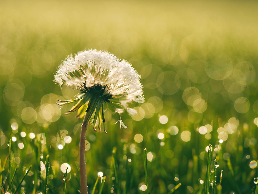 {Trying too hard?} A Reminder to Soften  