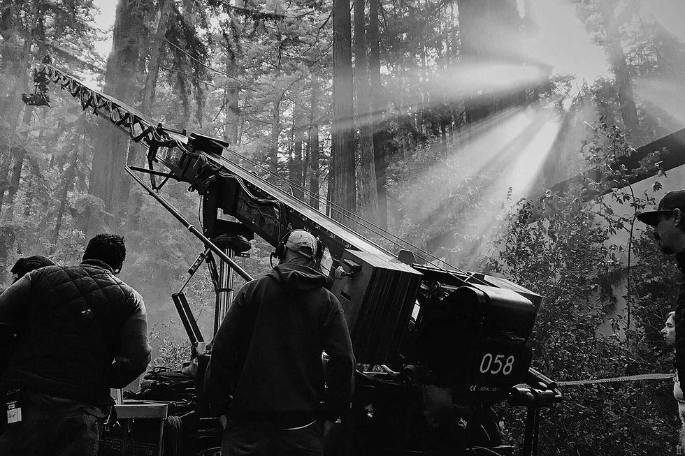 camera-crane-shooting-a-movie-in-the-forest-CSQVAH4s.jpg