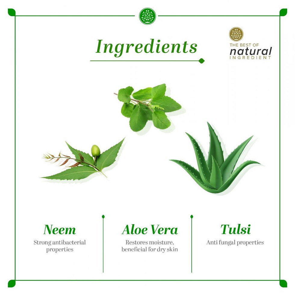 Thumbnail: Khadi Natural Anti-Bacterial Neem Tulsi Handwash