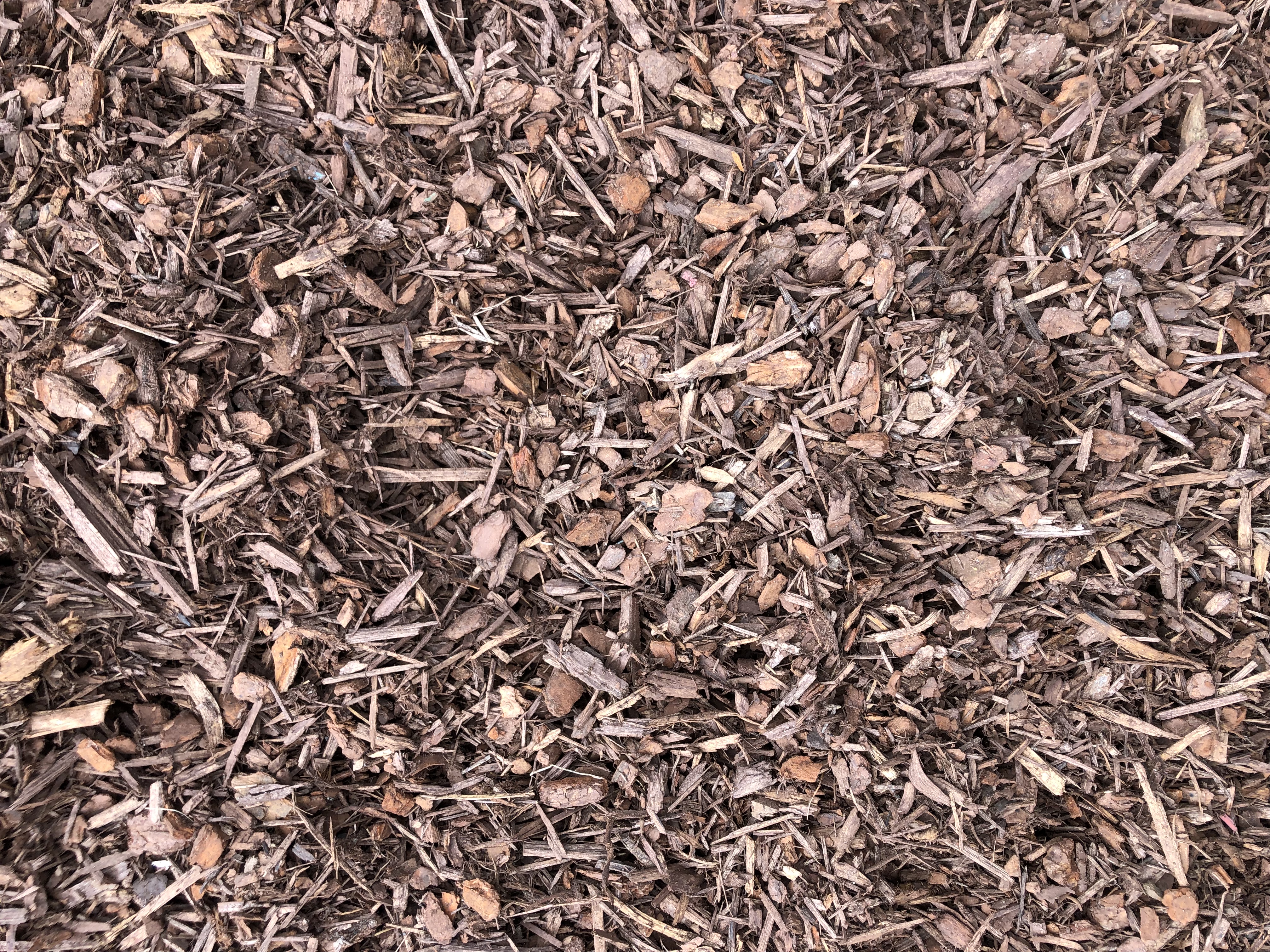 Pine Bark
