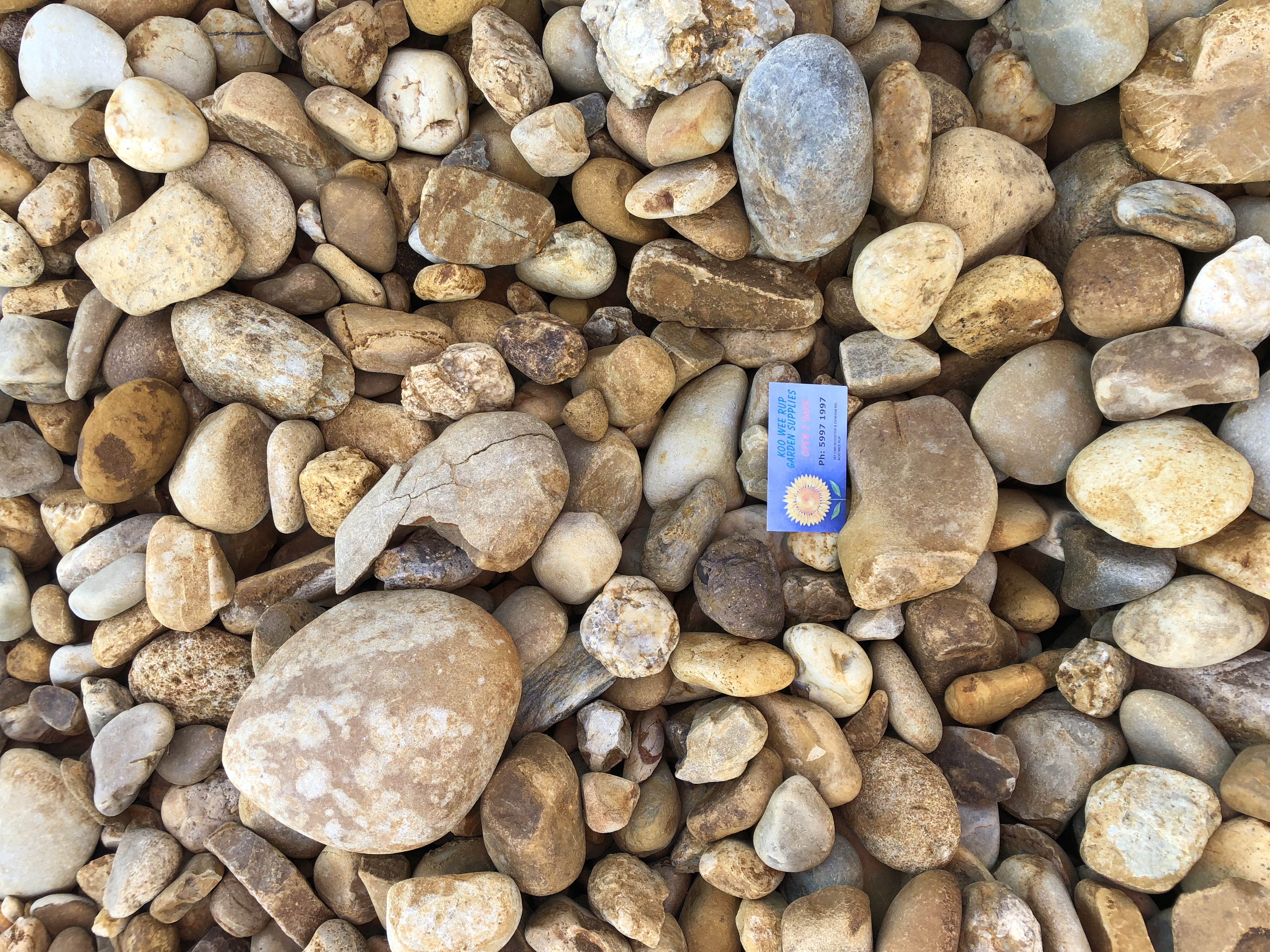Oversize Pebbles