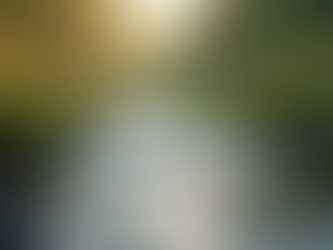 Living through Loss & Grief