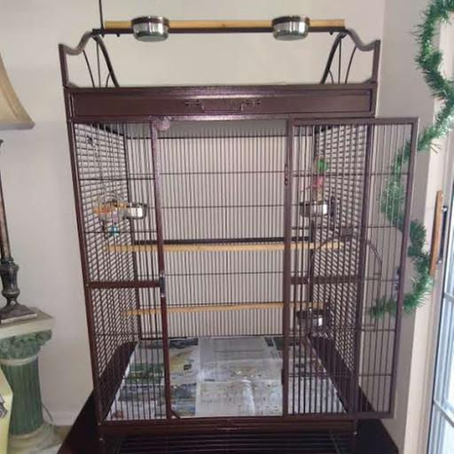 Thumbnail: You & Me Standing Parrot Cage