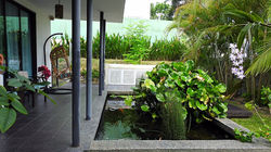 koi terrace area