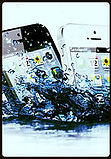 iPhone 5 Water Damage