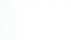 PATTERN-29 (1).webp
