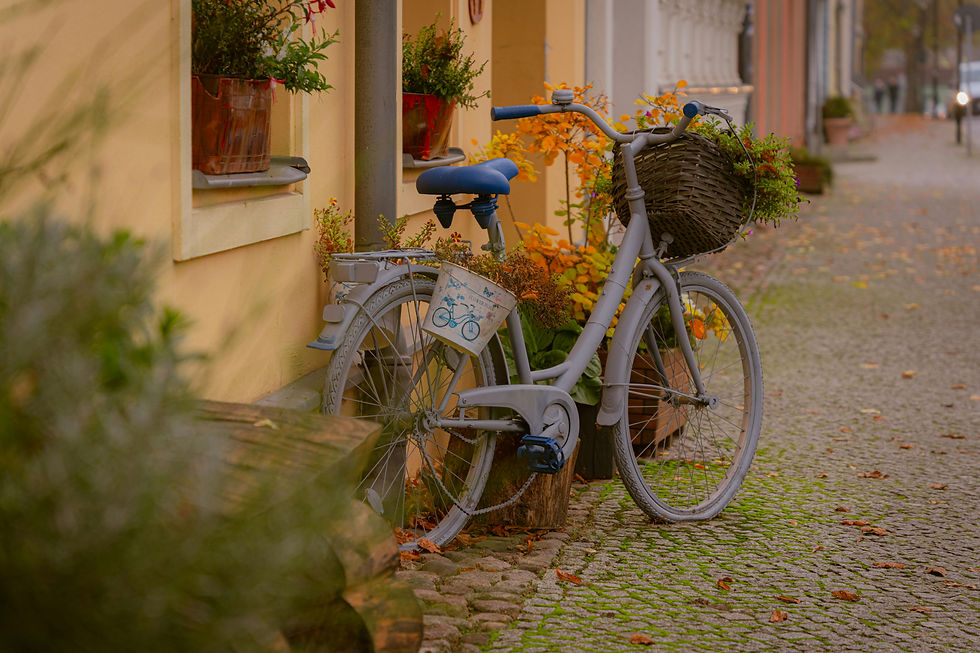 Grey bicycle parked by building with flowers