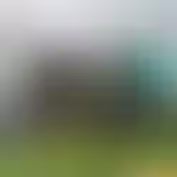 Primehomes Unveils Laselva