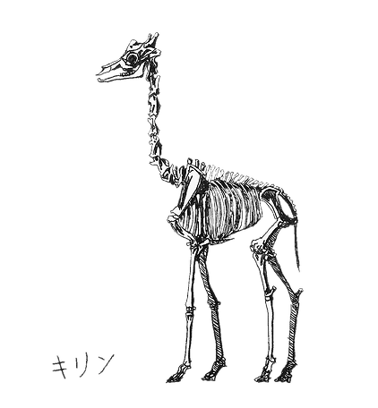 長頸鹿骨架.png