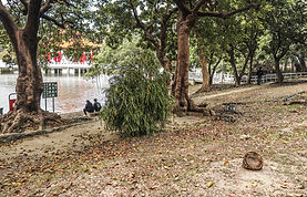AIMG_3726.jpg