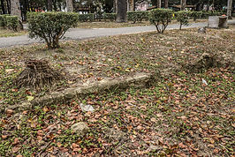 AIMG_3725.jpg