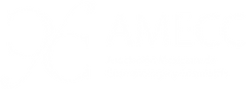 AMECC2.png
