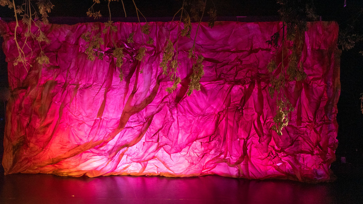 A wide shot of a stage. A large projected image of pink and orange abstract smoke is visible on a crumpled surface. Eucalyptus tree branches hang down from above.