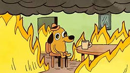 this_is_fine.jpeg