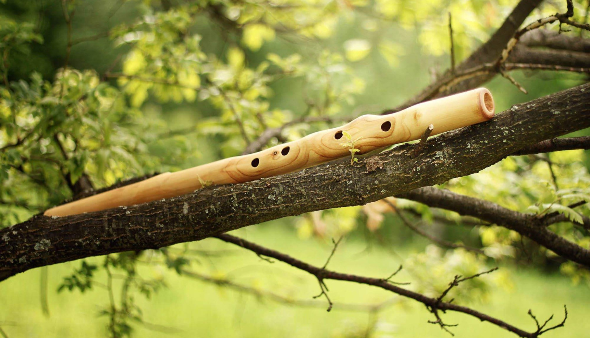 Flute Tree Pentatonic Flutes | Holy Tree