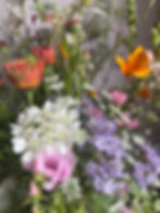 WILDFLOWER WHISPERS