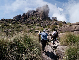 trilha-pico-das-prateleiras-itatiaia.jpg