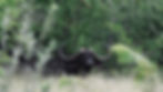 DSC_3622.jpeg