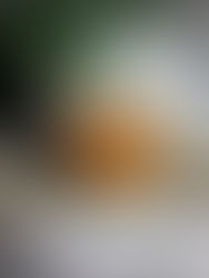 Clatite din dovlecei