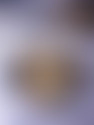 Clatite franțuzești (crêpes)