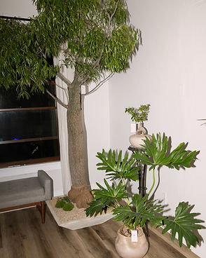 6B8A8940 (1).jpeg