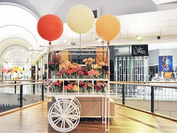 WESTFIELD PENRITH SS16 FASHION WEEKEND.