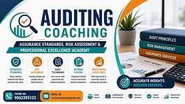 Auditing coaching banner featuring assurance standards, risk assessment, audit techniques, professional excellence, compliance training and coaching contact details.