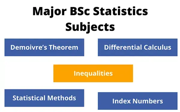 Major subjects that comes under BSc Statistics