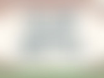 IIT JAM GEOLOGY MOCK TEST 2  FOR 2026 2027