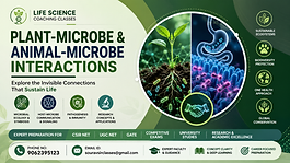Plant-Microbe and Animal-Microbe Interactions Life Science Coaching Classes covering microbial ecology, symbiosis, host-microbe communication, signaling, pathogenesis, immunity, research concepts, CSIR NET, UGC NET, GATE, and competitive exam preparation.