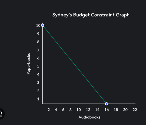 Sydney’s Budget Constraint: Visualizing the Trade-Off Between Paperbacks and Audiobooks Within a Fixed Budget