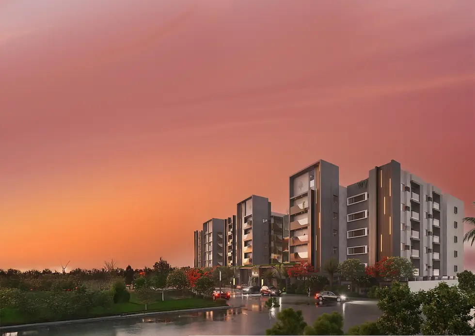 IMG_0151 (1)_3x (1).webp